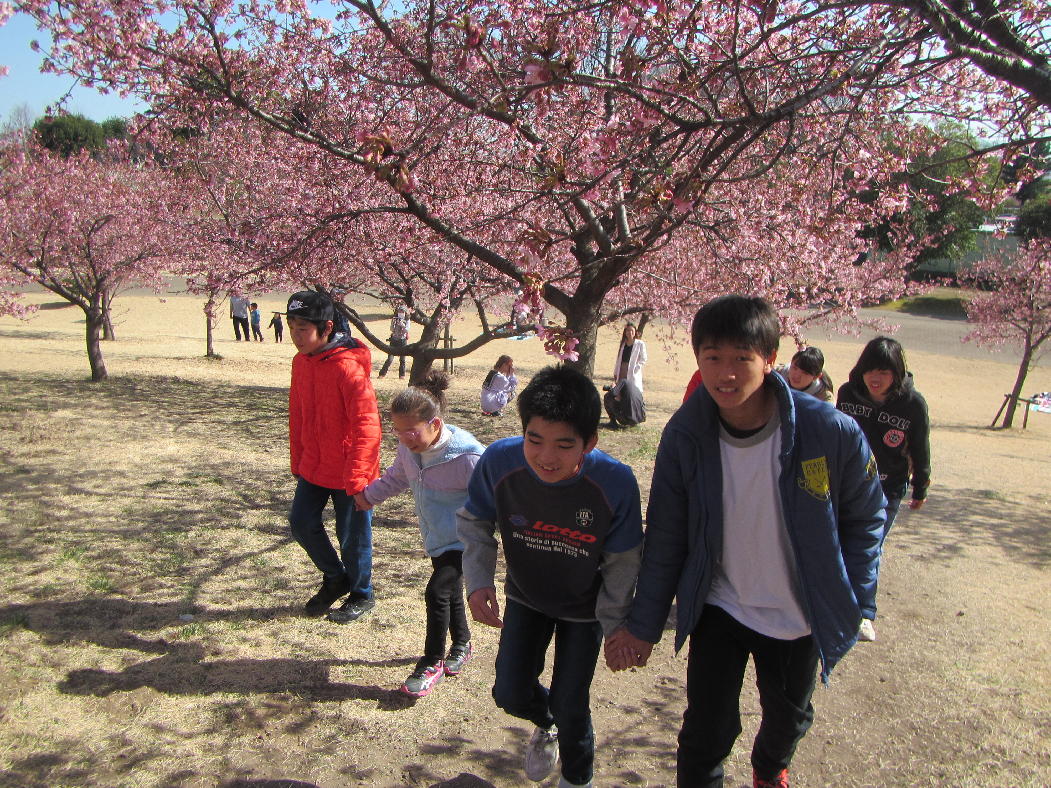公園で遊ぼう　いせさき市民のもり公園、梅の花が満開。
