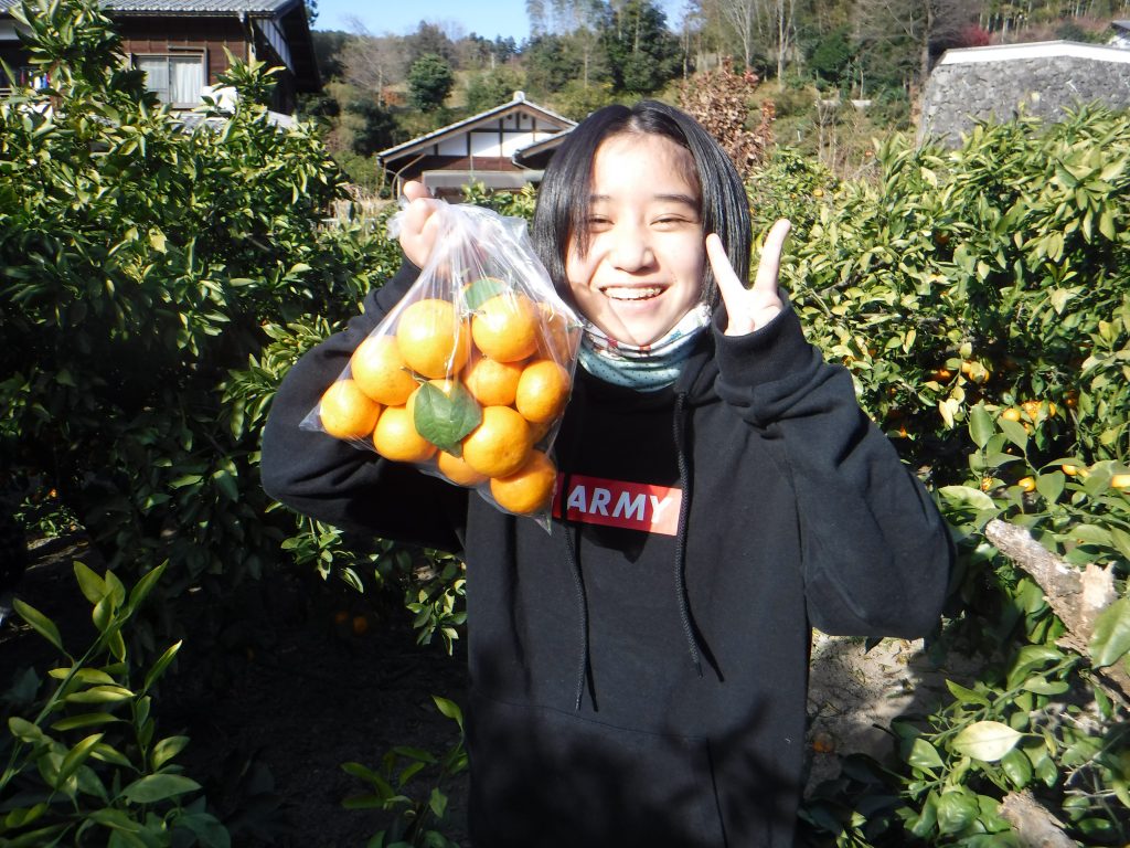 みかん狩り　袋一杯に採りました。