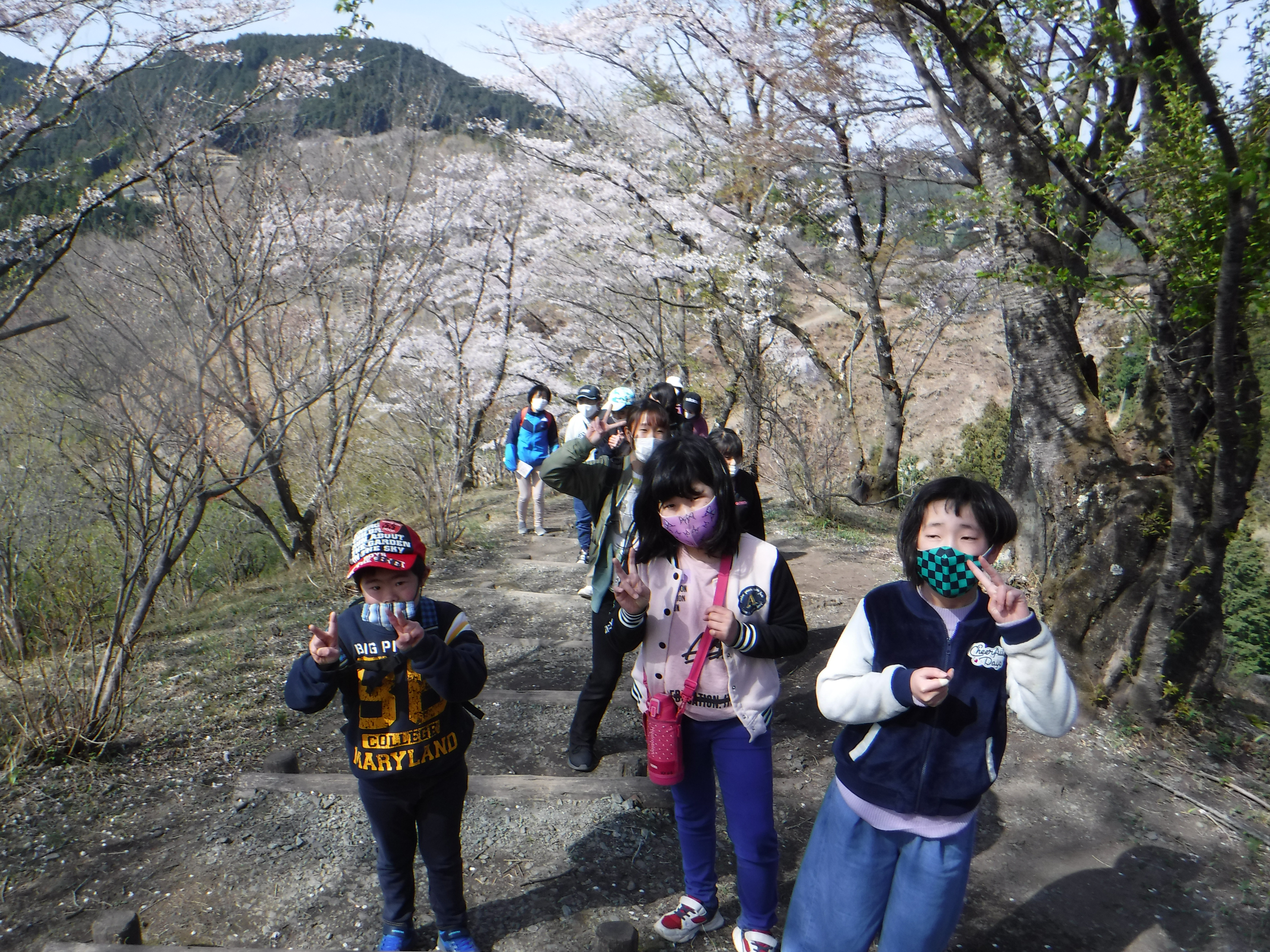 桜山公園ハイキング　全員、山頂目指して登ります。