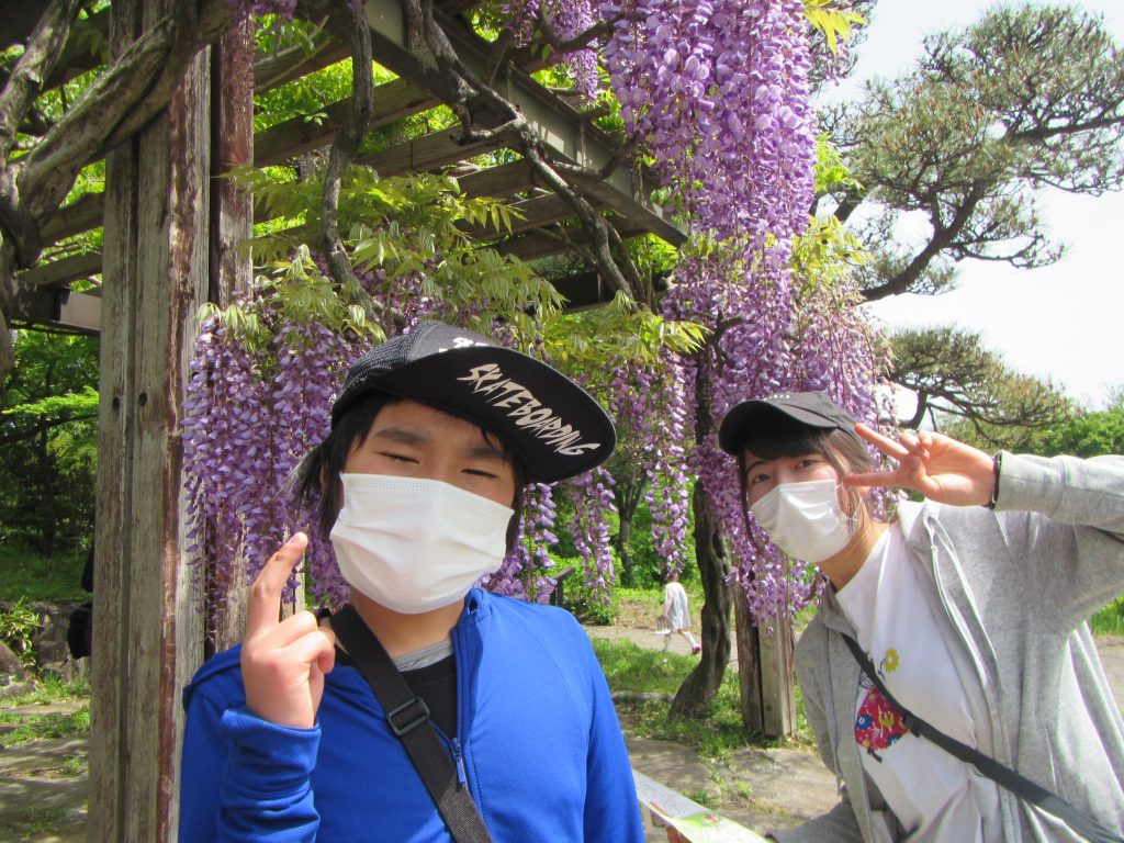 ぐんまフラワーパーク　藤の花が見頃でした。