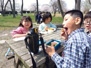 桜の下でランチ　満開の桜の下でランチ、気分爽快！！